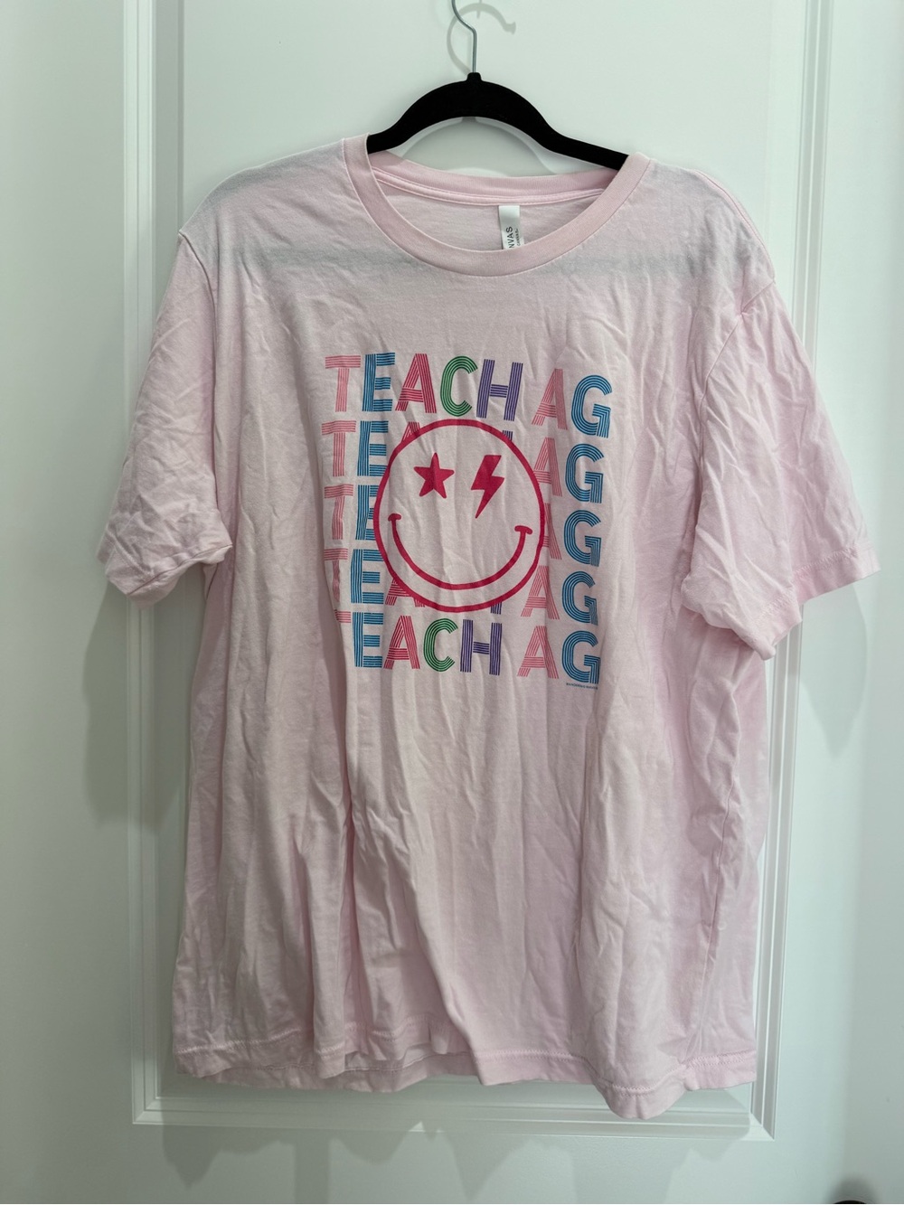 Bella Canvas Pink TEACH AG Graphic Tee with Multicolor Print